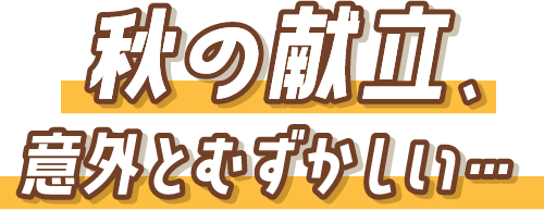 秋の献立、意外とむずかしい...